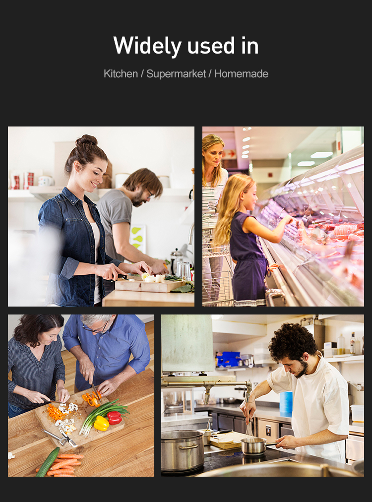 ηλεκτρική μηχανή πλήρωσης λουκάνικων